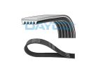 Correia de Acessório DAYCO para Chevrolet Tracker 1.0 1.2 12V Turbo 2021 até 2025 - Cod. 5PK1230